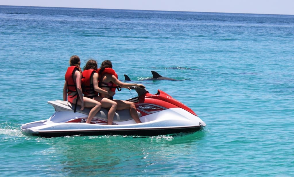Image of three people on a waverunner watching a dolphin swim nearby.