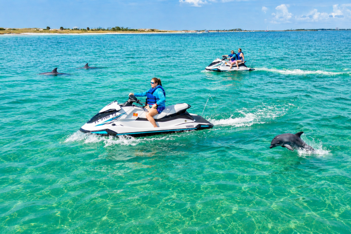 Two people riding jet skis on clear ocean with dolphins nearby.