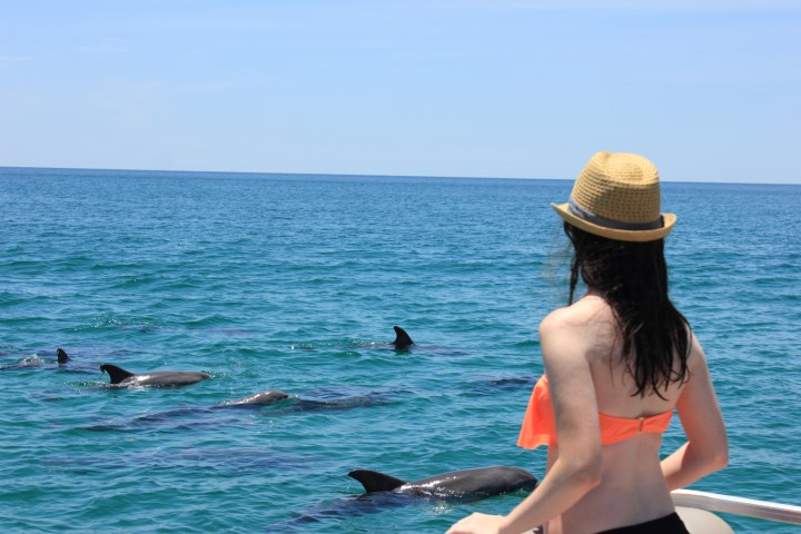 Woman in hat watching dolphins in the ocean from a boat.