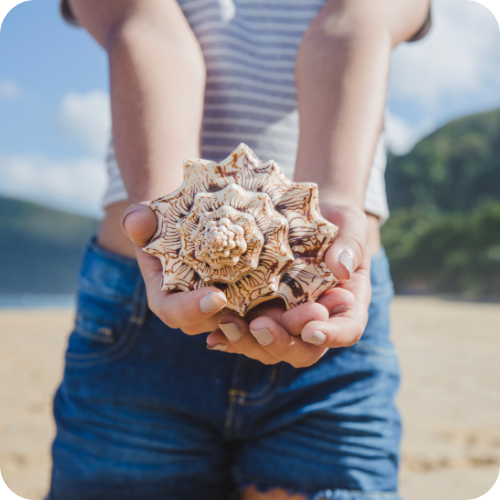 a person standing on a beach holding a shell