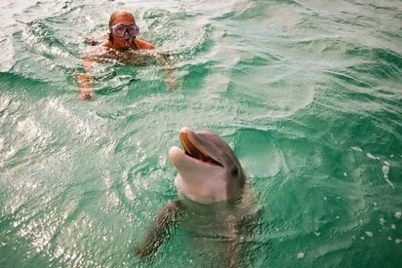 Person swimming with a dolphin in clear turquoise water.