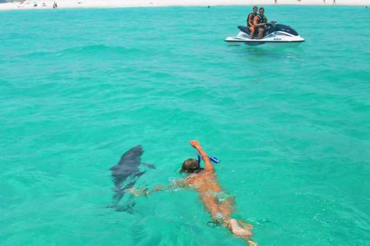 a group of people swimming in a pool of water