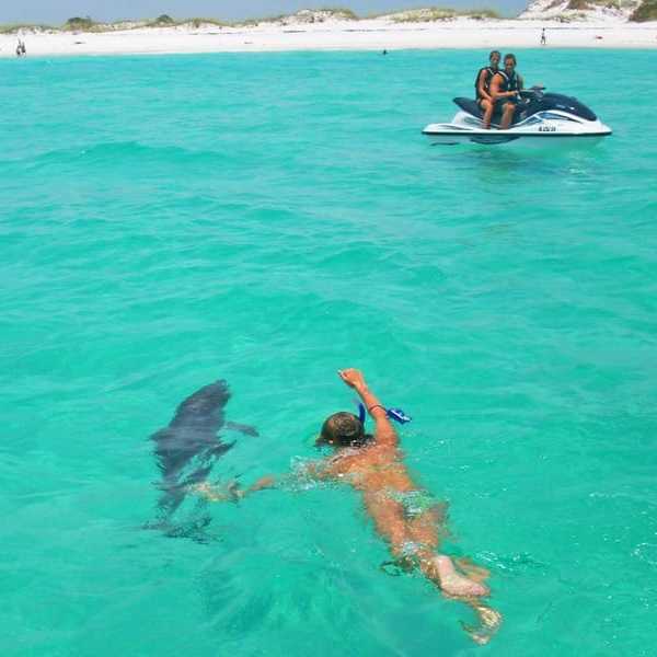 a group of people swimming in a pool of water