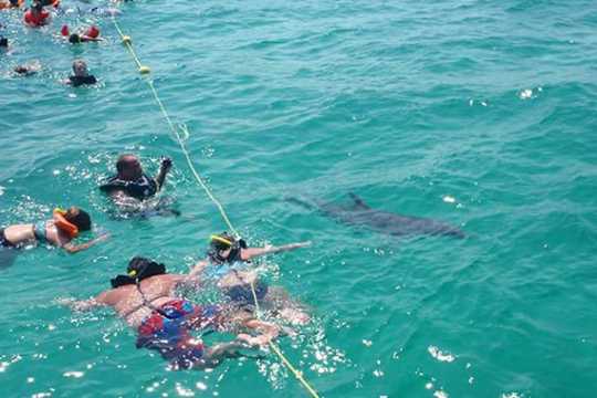 a group of people swimming in the water