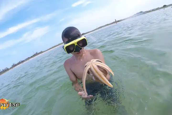 a person swimming in a body of water