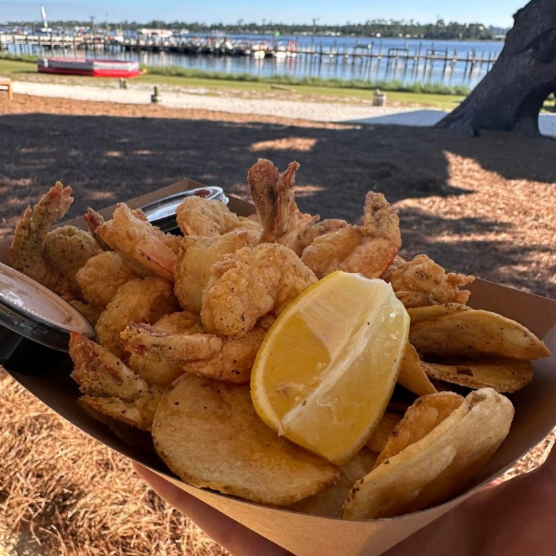 a sandwich sitting on top of a grass covered field