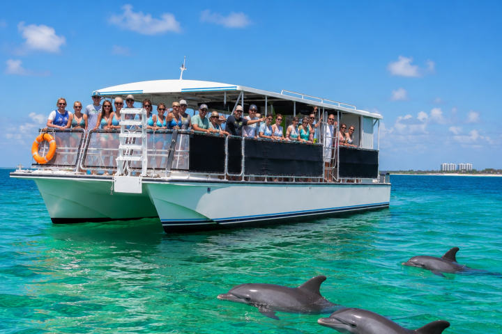 Boat with people watching dolphins swim in clear blue water.