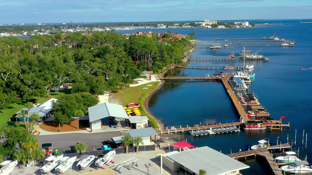 Aerial view of a waterfront marina with boats and green trees.